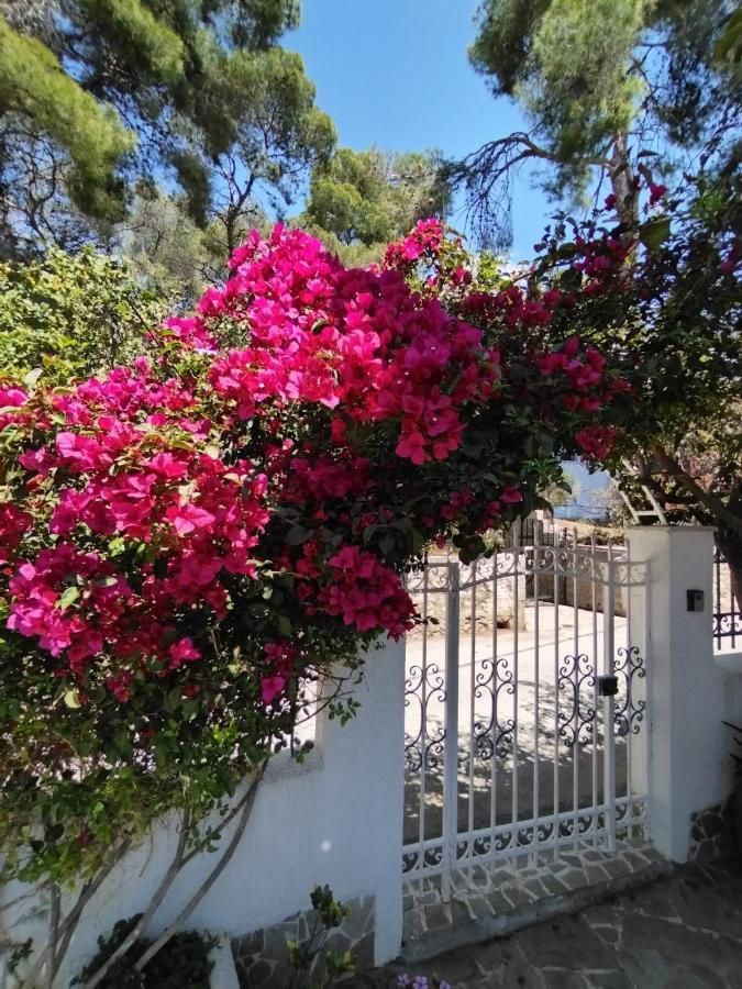 Rigos House At Askeli Beach, Poros Island Villa Pórosz Kültér fotó